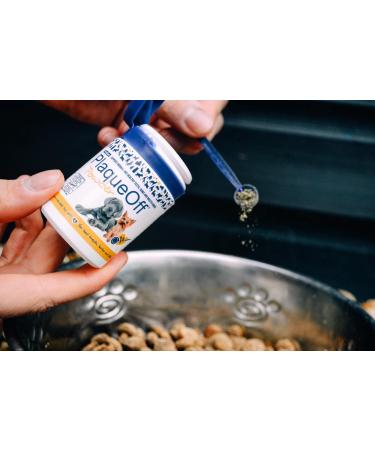 ProDen PlaqueOff Powder 420g - Supports Healthy Teeth, Gums, & Breath in Pets - Buy Online on GoSupps.com