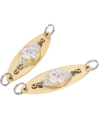 2Pcs Fishing LED Lure - Eye Shape Artificial Flashing Light for Underwater Fishing | International Shipping - Buy Online on GoSupps.com