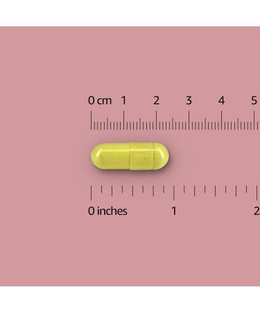 Amazon Elements Vegan CoQ10 100 mg - Normal Energy Production Supports Cardiovascular Health - 2 Month Supply (60 Capsules) 60 Count (Pack of 1) - Buy Online on GoSupps.com