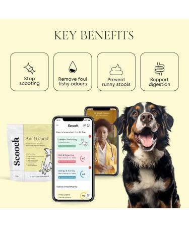 Scooch Anal Gland Supplement for Dogs | Human Grade Crunchy Chews | Stops Scooting & Itching | Plant-Based with Prebiotics | Promotes Digestion | Banana + Pumpkin Flavor - Buy Online on GoSupps.com