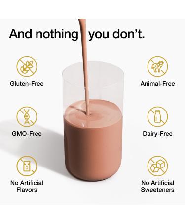 Huel Black Edition Bundle | Chocolate 40g Vegan Protein Powder + Shaker Bottle | Nutritionally Complete Meal | 27 Vitamins and Minerals Gluten Free | Lockable Lid to Avoid Spills | BPA Free - Buy Online on GoSupps.com