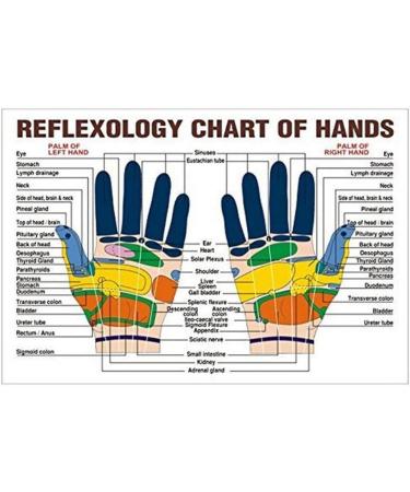 TOSSPER 10pcs Sensory Finger Rings | Acupressure Ring Set for Stress Relief & Massage - Ideal for Teens & Adults - Buy Online on GoSupps.com