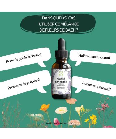 Floral Elixir Blend for Stressed Dogs - Quickly Comfort Your Dog. This Blend is a Natural Anti-Stress for His Daily Life (30ML) Pack of 2 - Buy Online on GoSupps.com