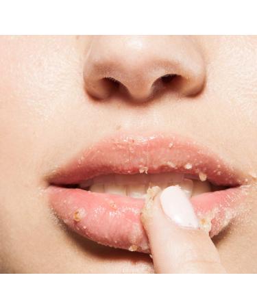 FarmHouse Fresh Beach Punch Lip Polish Pineapple 1 Count (Pack of 1) - Buy Online on GoSupps.com