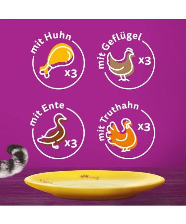 Whiskas 1+ Cat Food Poultry Selection in Jelly 12x85g | Premium Wet Food for Adult Cats - 48 Portions - Buy Online on GoSupps.com