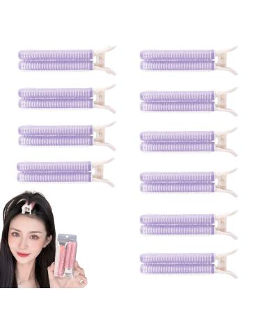 Volumizing Hair Clips 10 Pcs Hair Root Volumizing Clips Volumizing Root Clips for Hair (Purple)