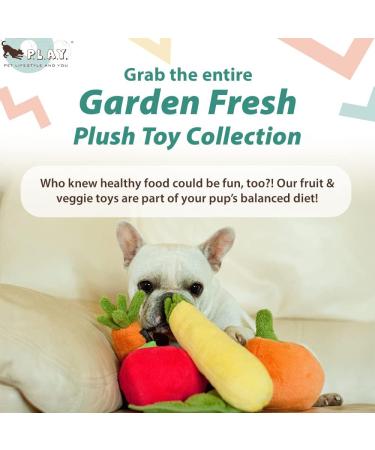 PLAY Garden Fresh Dog Toy - Soft Zucchini | Premium Pet Lifestyle Toys for Dogs - International Shipping - Buy Online on GoSupps.com