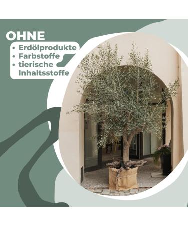 Olive Oil Full Body Care - Olive Butter Cream 500ml with Vitamin E | Shop Now for Nourishing Skin - Buy Online on GoSupps.com