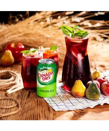 Diet Coke Canada Dry Ginger Ale 300mL Mini Bottles Pack of 8 - Buy Online on GoSupps.com