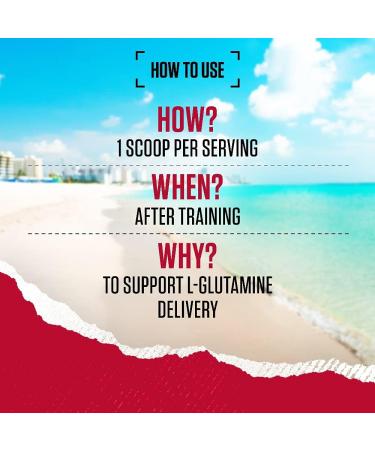 BSN DNA Glutamine Powder - L-Glutamine Amino Acid Supplement for Pre & Post Workout, 60 Servings, 309g - Unflavoured - Buy Online on GoSupps.com