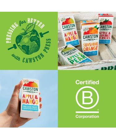 Cawston Press Cawston Press Kids Fruit Water Apple & Mango Cartons 200 ml (Paquet de 18) - Buy Online on GoSupps.com