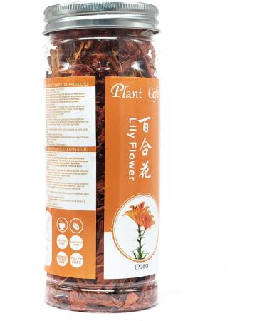 PlantGift Fragrant Natural Lily Flowers 35G/1.23oz Organic Dried Lilium Flowers Health Tea Chinese Lily Tea - Buy Online on GoSupps.com