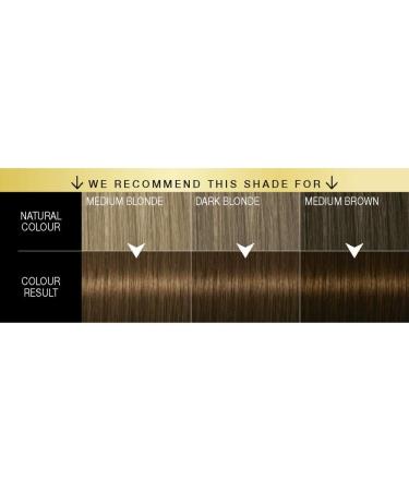 Schwarzkopf Oleo Intense Brown Hair Dye 3-Pack Permanent Oil Colour No Ammonia Covers Greys Gold Brown 4-60 Gold Brown 3 count (Pack of 1) - Buy Online on GoSupps.com