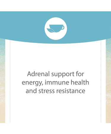 Natural Factors Stress-Relax Serenity Formula - 60 Vegetarian Capsules with Sensoril - Buy Online on GoSupps.com