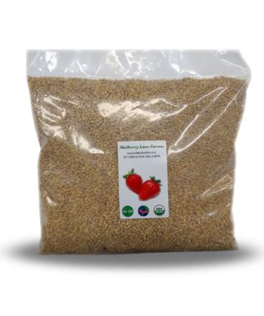Hulled Barley 5 Pounds (dehulled) USDA Certified Organic Non-GMO Bulk, Product of USA, Mulberry Lane Farms