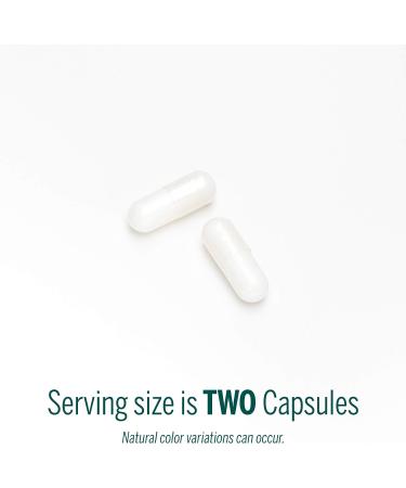 Genestra Brands Carnitine - Exercise Recovery & Endurance Support | 90 Capsules - Buy Online on GoSupps.com
