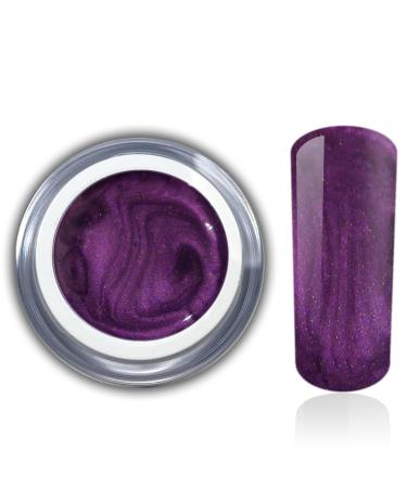 Color gel metallic purple UV Led gel nail design nail gel gel nails nail art RM Beautynails 1 pack (1x5ml) 05-Purple