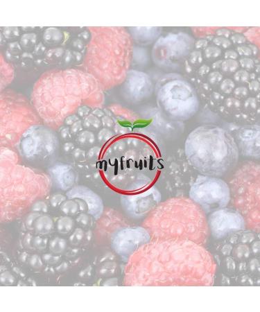  myfruits myfruits Organic Summer Mix Freeze-dried fruit mix with pineapple banana and mango no additives 100% fruit - Buy Online on GoSupps.com