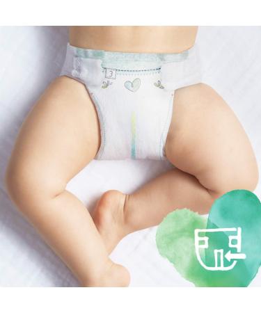 Pampers Pure Protection Size 5 Nappies - Gentle, Hypoallergenic Diapers - Buy Online on GoSupps.com