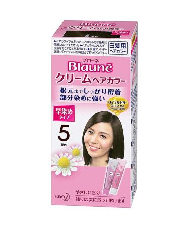 Kao Blaune Cream Hair Color - 5 Maroon (Green Tea Set)