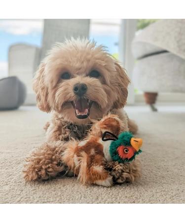 House of Paws Plush Dog Toy - Small Pheasant Design Brown - Ideal for Interactive Play - Buy Online on GoSupps.com