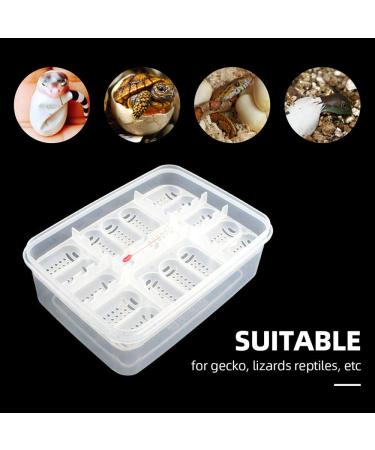 16 Grids Reptile Eggs Incubator Tray with Thermometer - Reptile Breeding Box for Hatching Snake, Lizards, Turtle, Gecko Egg - Buy Online on GoSupps.com