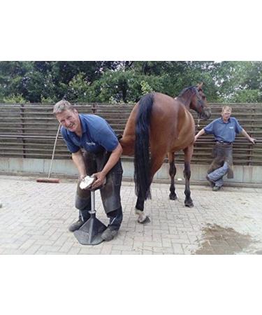 HOOF -IT Blacksmith Hufbock - Blue | Premium Quality Hoof Support | International Shipping - Buy Online on GoSupps.com