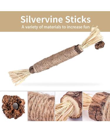 Tuibeidamai Matatabi Cat Toys - 6PC Catnip Dental Chew Sticks for Healthy Teeth & Fun Biting - Buy Online on GoSupps.com