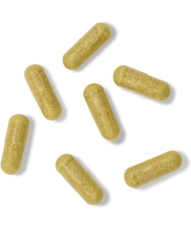 Mighty Maca Menopause Relief Capsules - Plant-Based Supplement for Women | Hot Flash & Night Sweat Relief, Hormone Balance, Digestive Aid - Buy Online on GoSupps.com