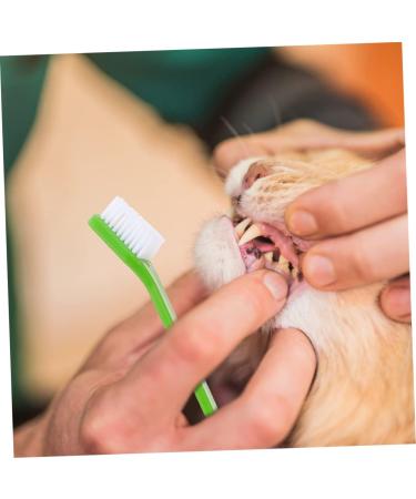 BESPORTBLE 8pcs Double Head Dog Toothbrush Pet Toothpaste Large Dog Toothbrush Dog Chew Toothbrush Pet Brush Pp - Buy Online on GoSupps.com