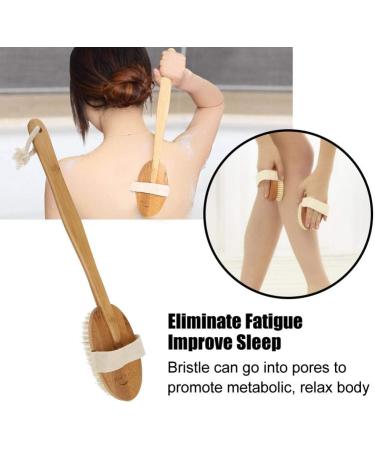 Natural Bristle Bathing Brush with Long Handle - Back & Body Peeling Massage Brush for Shower - Dry or Wet Use - Buy Online on GoSupps.com