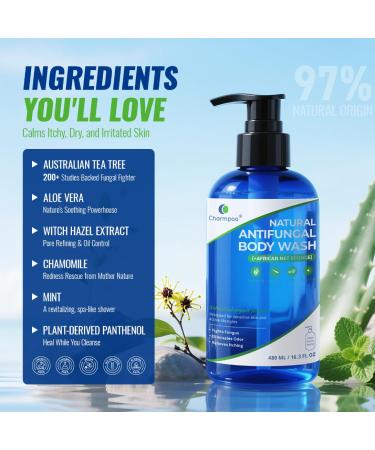 CHARMPOO Natural Antifungal Body Wash: Tea Tree Fights Fungus Eliminates Odor Relieves Itching Formula for Sensitive Skin and Active Lifestyles 16.3 FL OZ - Buy Online on GoSupps.com