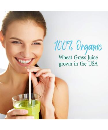 Garden of Life Raw Organic Perfect Food Wheat Grass Juice - Green Superfood Powder 60 Servings, 8.46oz - Non-GMO, Vegan, Gluten & Stevia Free - Buy Online on GoSupps.com
