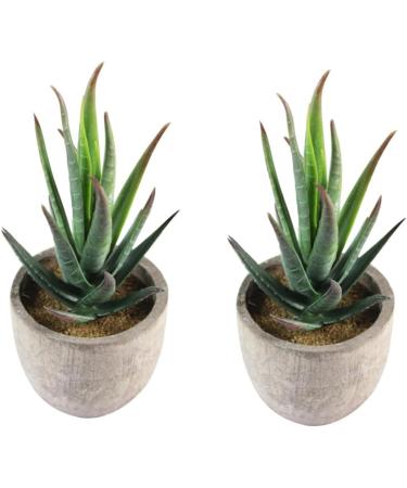 MAGICLULU 2pcs Faux Plant Simulation Plant Small Succulent Plants Home D cor Succulent Simulation Succulents Arrangements Suculentas Artificial Plants Decorative Plants Mini Cactus - Buy Online on GoSupps.com