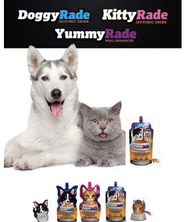 DoggyRade Isotonic Dog Water 500ml | Refreshing & Energizing Hydration for Dogs - Buy Online on GoSupps.com