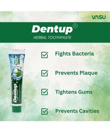 Dentup Herbal Toothpaste with Neem - Complete Oral Hygiene | Pack of 2 (100 gm x 2) - Buy Now - Buy Online on GoSupps.com