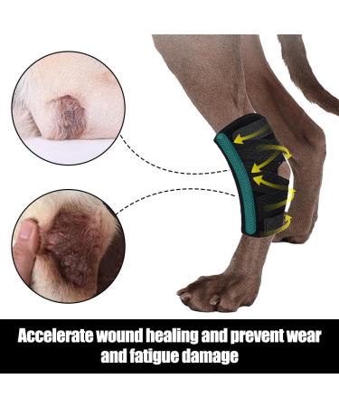 DONGKER Dog Leg Brace Adjustable Rear Leg Joint Compression Wrap with Metal Spring Bars for Dogs Sprain Pain Relief - Buy Online on GoSupps.com