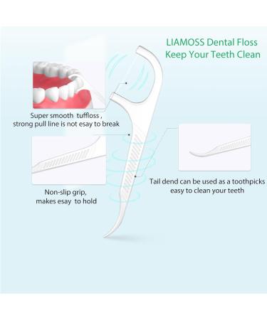 Shop Liamoss Travel Tooth-Floss Pleils - 10 Storage Boxes for Portable Dental Care | Perfect for Wallets & Hotels - Buy Online on GoSupps.com