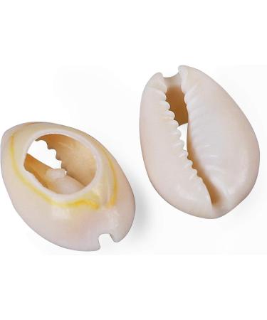 400PCS White Cowrie Shell Beads - DIY Craft Jewelry Making Supplies - Buy Online on GoSupps.com