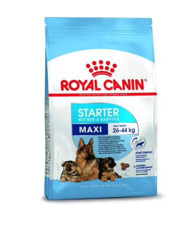 ROYAL CANIN - Maxi Starter Capacity: 4 kg