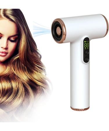 Hair Dryer Portable Blow Dryer w/Hot & Cold Wind Wireless Hair Dryer for Travel School Pet Care Hairdressing Oil Painting Drying Tools