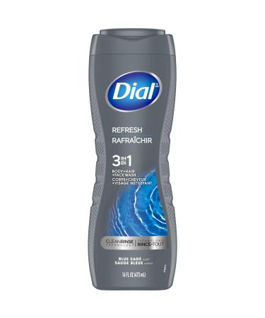Dial Men 3 in 1 Body Hair and Face Wash Refresh 16 Fl Oz Pack of 6 Blue Sage Scent Cleanses Deep + Gentle on Skin with Clean Rinse Technology Hydro Fresh 16 Fl Oz (Pack of 6)