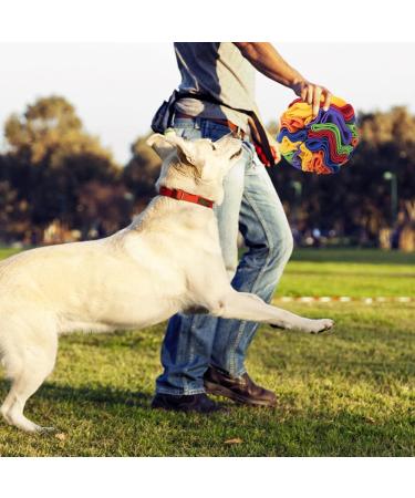 Sniffed Ball for Dogs | Interactive Smell Training Toys for Small & Medium Dogs | Washable Feed Mat | Stress Relief & Intelligence Boost - Buy Online on GoSupps.com