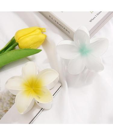 JOYOYO 4 Pcs Matte Flower Hair Clips | 3 Inch Medium Claw Clips for Women & Girls - Buy Online on GoSupps.com