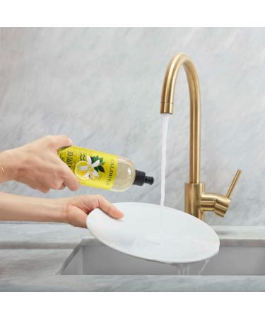 Caldrea Dish Soap - Biodegradable Dishwashing Liquid with Soap Bark & Aloe Vera | Sea Salt Neroli 16 oz | Eco-Friendly Cleaning for Your Kitchen - Buy Online on GoSupps.com