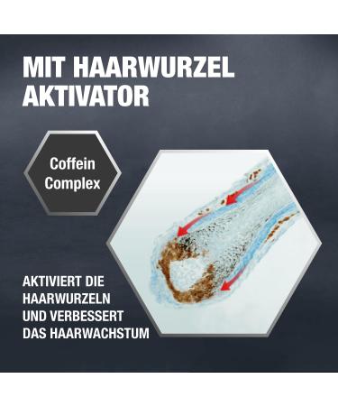 Alpecin Caffeine Shampoo C1 - 3 x 250ml | Combat Hair Loss | Strengthen Roots & Promote Growth | Men's Hair Care - Made in Germany - Buy Online on GoSupps.com