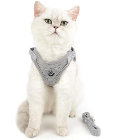 Ranphy Breakproof Cat Dishes with Leash - Durable Stylish & Ideal for International Shipping - Buy Online on GoSupps.com