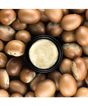 LXMI Pure Nilotica Organic Melt - 100% USDA Certified Shea Butter Alternative - Vegan & Cruelty-Free Skincare Balm - Buy Online on GoSupps.com