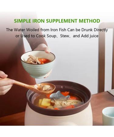 Iron Fish (1 Pack) A Natural Source of Reduce The Risk of Iron Deficiency Great Iron Supplement Alternative for Vegetarians Athletes Pregnant Women - Buy Online on GoSupps.com