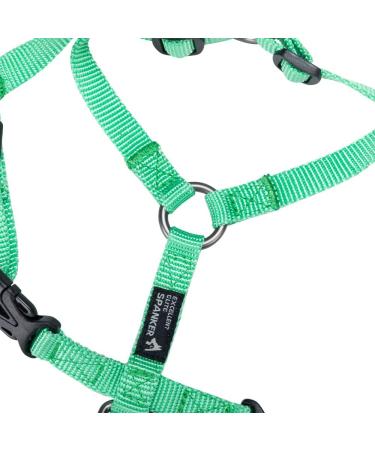 Adjustable Green Cat Dish - Excellent Elite Spanker for Small to Large Kittens | No Pull Pet Dishes - International Shipping Available - Buy Online on GoSupps.com